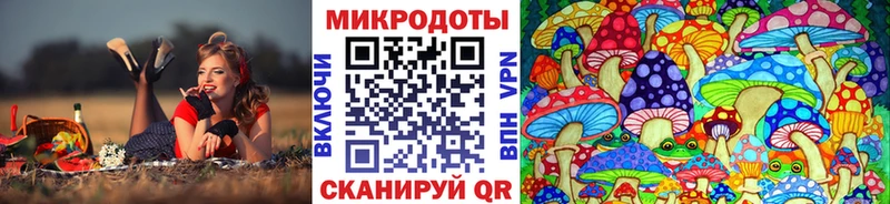 Псилоцибиновые грибы прущие грибы Майский